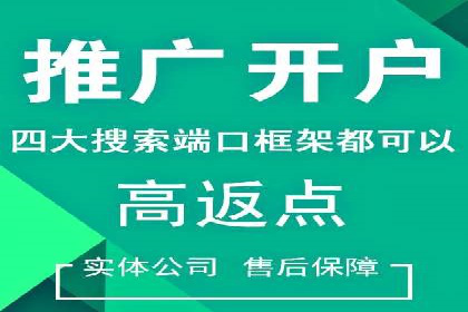 SEM推广优化实战：案例分析与启示